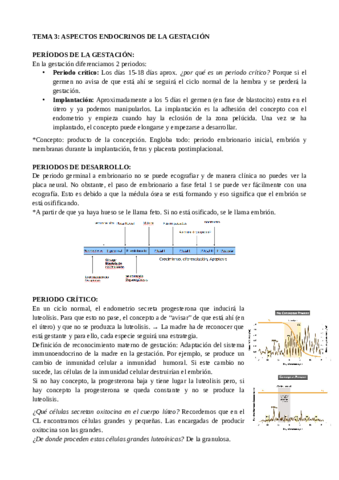 tema-3-endocrino-gestacion.pdf