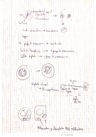 7.pdf