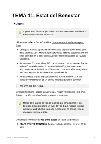 TEMA11EstatdelBenestar.pdf