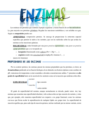 Enzimas.pdf
