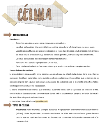 la-celula.pdf