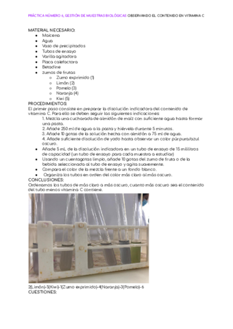 practica-6-vitamina-C.pdf