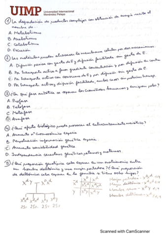 Preguntas-tipo-Parcial-2.pdf