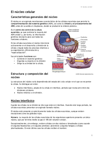 Núcleo celular.pdf