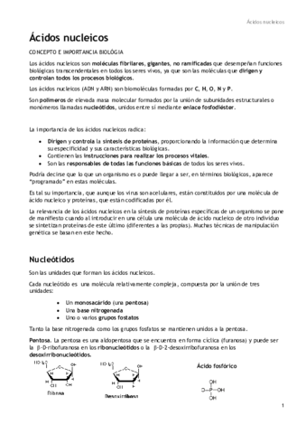Ácidos nucleicos.pdf
