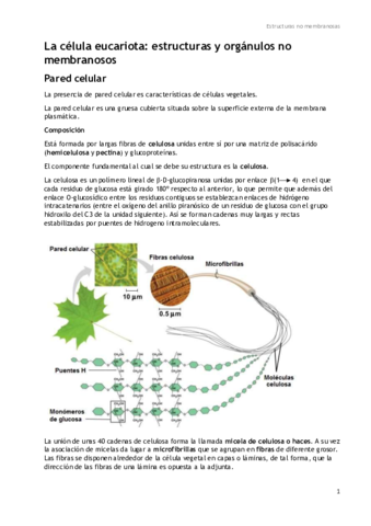 Célula eucariota.pdf
