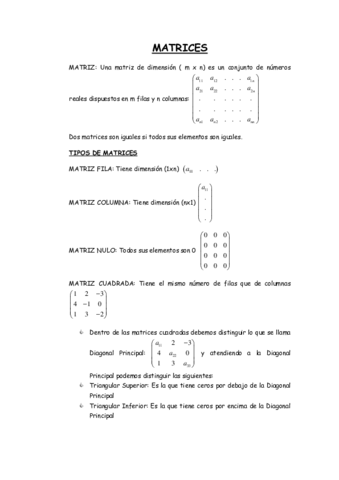 Copia-de-MATRICES.pdf