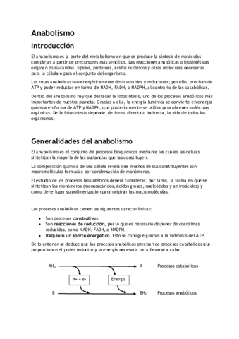Anabolismo.pdf