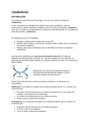 Catabolismo.pdf