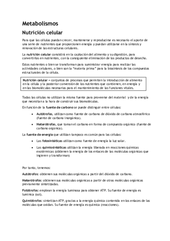 Metabolismo.pdf