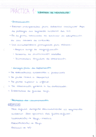 Practicas.pdf