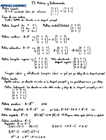 T1-Matrices-y-Determinantes.pdf