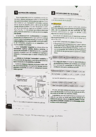 BIOLOGIA-catabolismo-de-los-glucidos.pdf