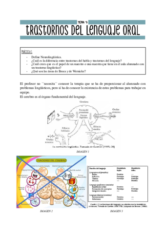 TEMA-7.pdf