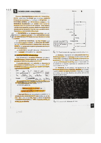 BIOLOGIA-catabolismo-anaerobio.pdf