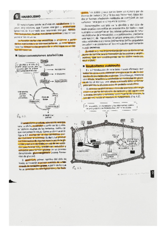 BIOLOGIA-anabolismo.pdf