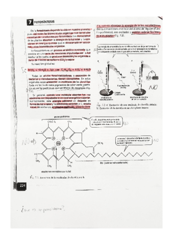 BIOLOGIA-fotosintesis.pdf