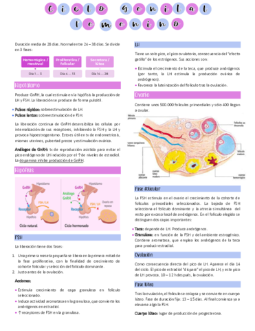 Ciclo-genital-femenino.pdf