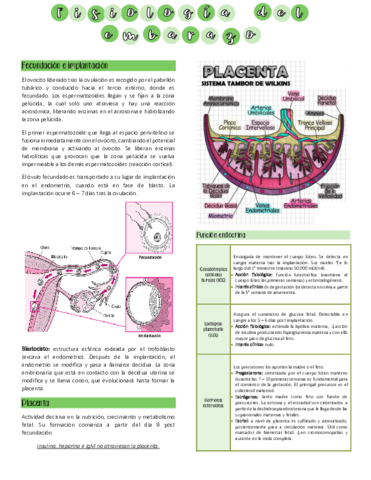 Fisiologia-del-embarazo.pdf