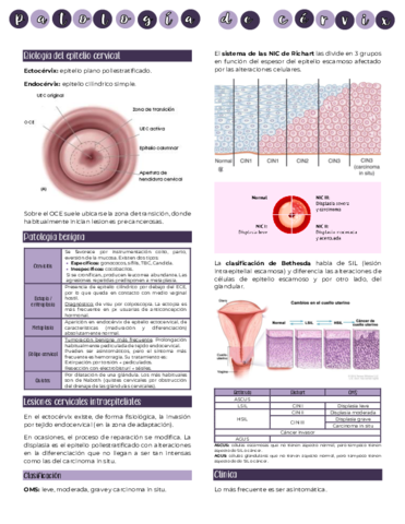 Patologia-de-cervix.pdf