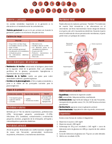 Diabetes-gestacional.pdf