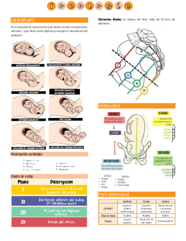 Tocologia.pdf