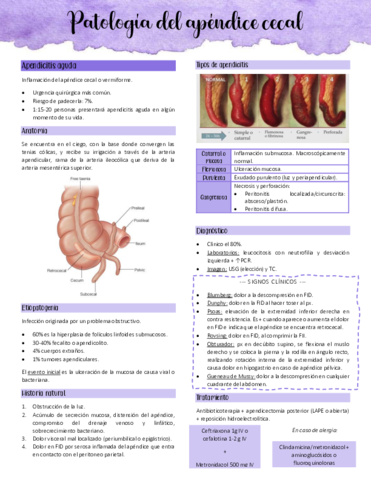 Patologia-del-apendice-cecal.pdf