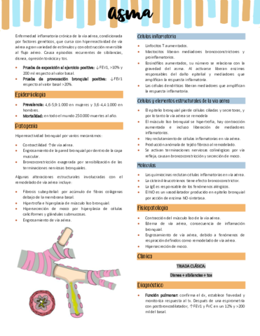 Asma.pdf