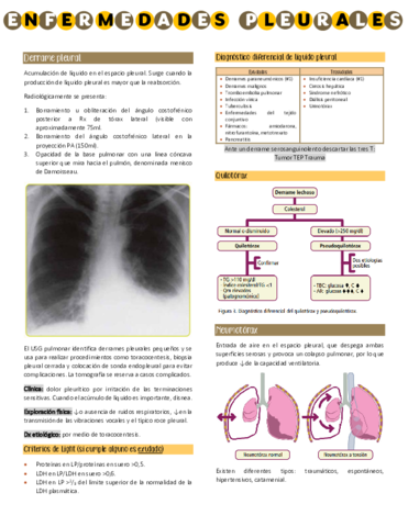 Enfermedades-pleura.pdf