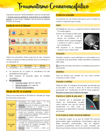 Traumatismo-Craneoencefalico.pdf