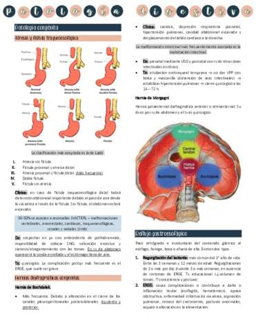 Patologia-digestiva-pediatrica.pdf