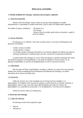 Tema 3[3.3]- Anatomía.pdf