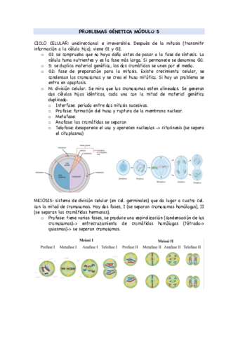PROBLEMAS-GENETICA-MODULO-5.pdf