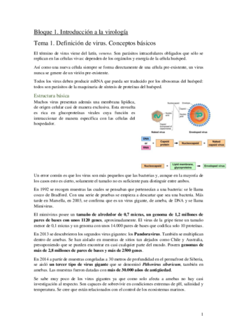 Bloque-1.pdf