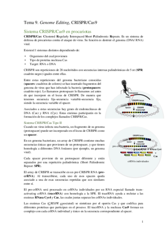 Tema-9.pdf