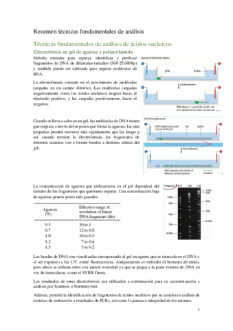 Resumen-tecnicas-fundamentales-de-analisis.pdf