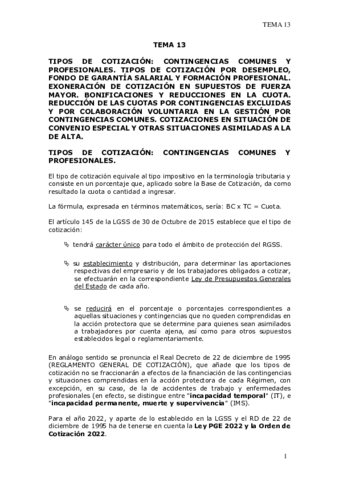 TEMA-13-PRESTACIONES-SS.pdf