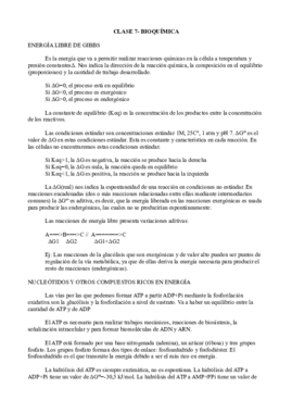Clase 7- Bioquímica.pdf