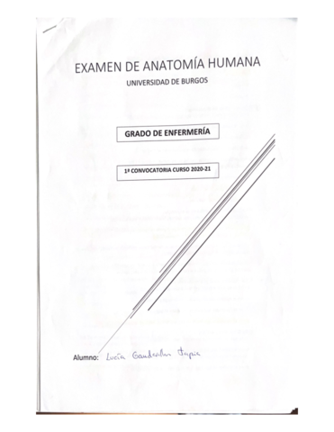 EXAMEN-DE-ANATOMIA-HUMANA.pdf