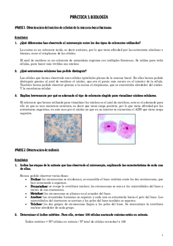 Practica-3.pdf