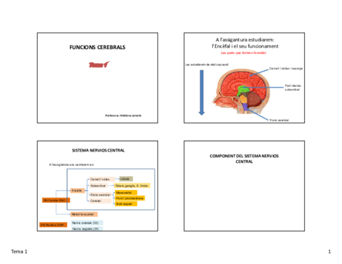 Tema-1-fcerebrals.pdf