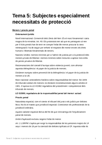 Tema5Subjectesespecialmentnecessitatsdeprotecci.pdf