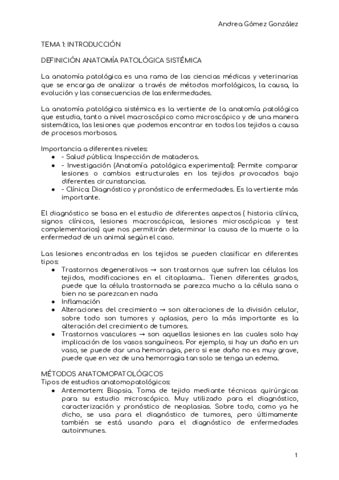 APS-TEMA1.pdf