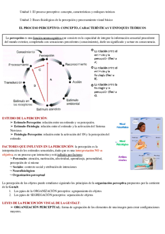 Bloque-III-Percepcion-.pdf