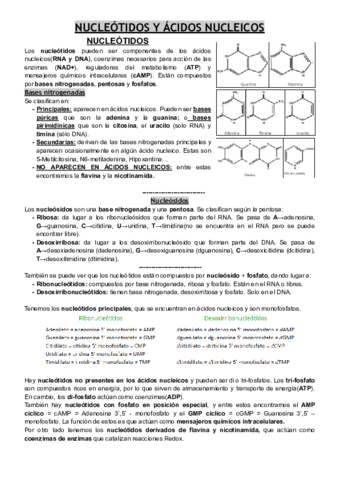 NUCLEOTIDOS.pdf