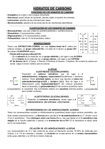 HIDRATOS-DE-CARBONO.pdf