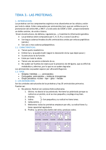 PROTEINAS.pdf