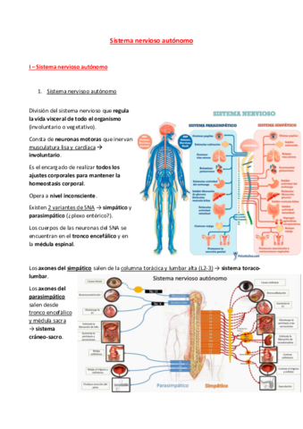 14-Sistema-nervioso-autonomo.pdf