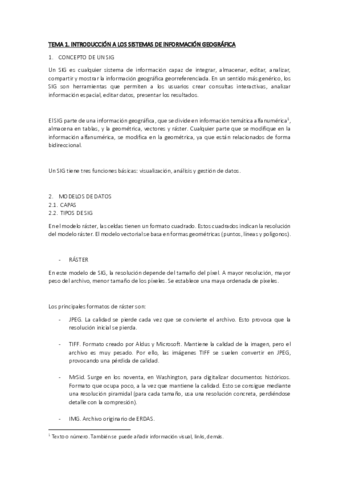 ApuntesTIGs.pdf