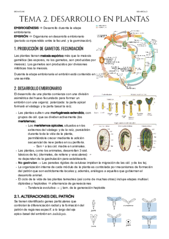 Tema-2-Desarrollo-en-plantas.pdf